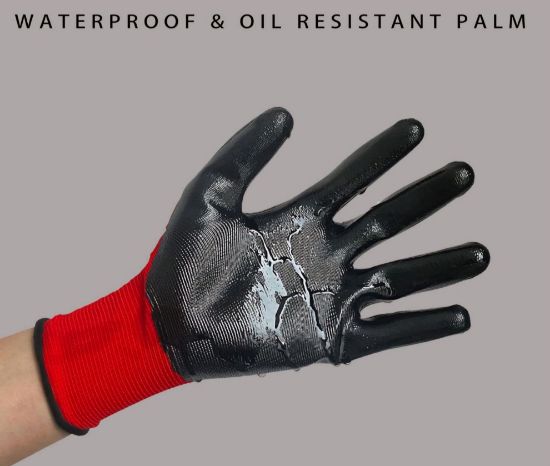 Picture of Nitrile Coated Gloves 